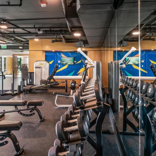 a gym with exercise equipment